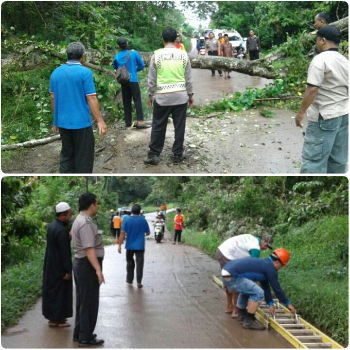 Anggota Polsek Banjar bersama warga evakuasi pohon tumbang